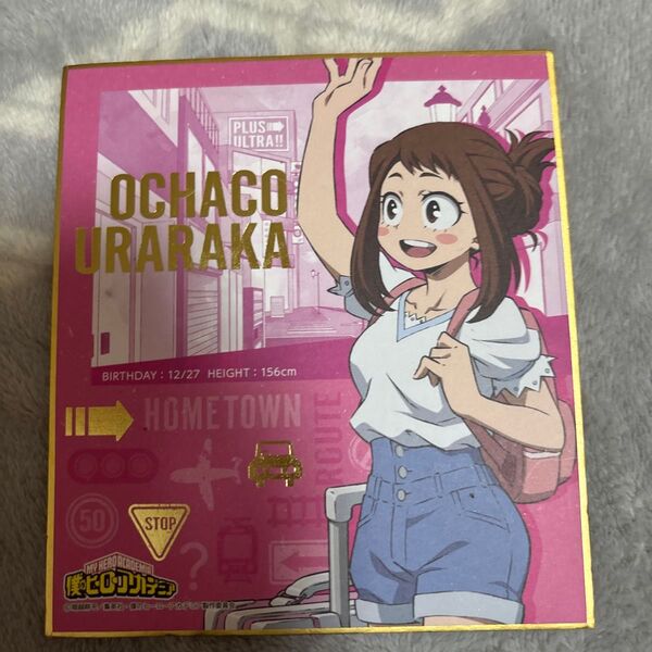 ヒロアカ色紙 アニメ