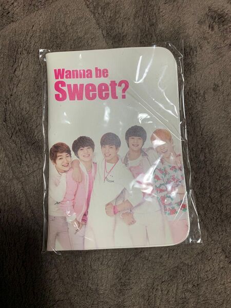 非売品 SHINeeパスポートケース