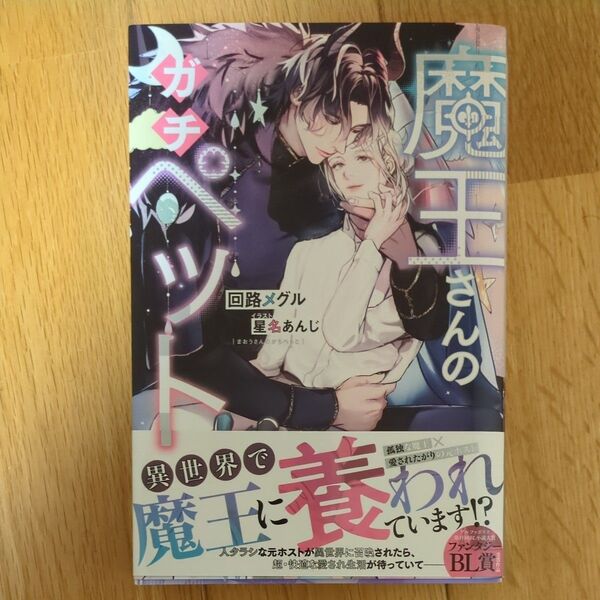 魔王さんのガチペット (&arche NOVELS) 回路メグル/〔著〕