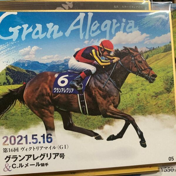 競馬 ミニ色紙 スターズオンアース グランアレグリア