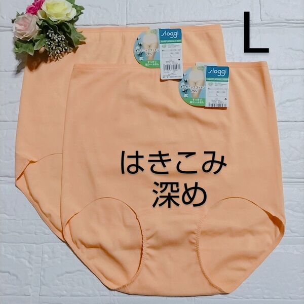 L◆トリンプ◆スロギー ナチュラルヒップ◆マキシ ショーツ◆深め◆2枚