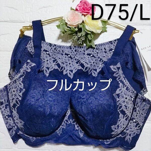 D75・L◆レッドレーベル バイ 0110◆フルカップ ブラ&ショーツ◆はきこみ普通