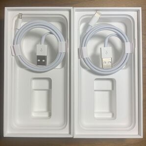 即日発送! 2本セット アップル iPhone 純正ライトニングケーブル タイプA 1M 【新品未使用】