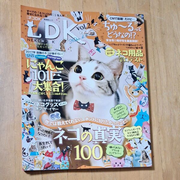 ネコDK vol.2