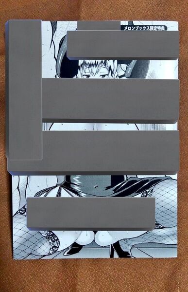 メロンブックス限定特典冊子+オータムリーフ特典小冊子の2点現品限り・購入者限定御礼の特典あり