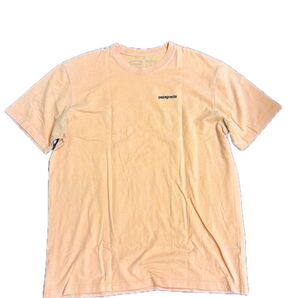 パタゴニアTシャツ