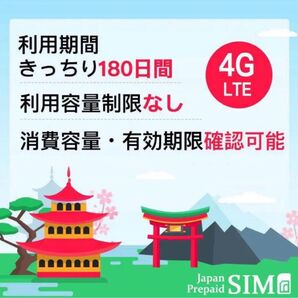 商品名: docomoプリペイドデータ専用SIM(きっちり6ヶ月間に20GB)