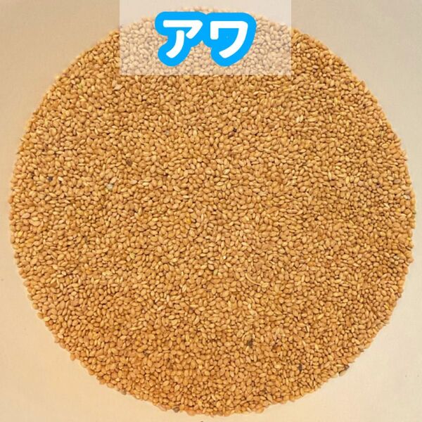 粟(あわ)800g (鳥の餌、インコの餌)