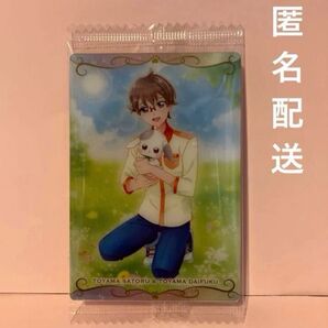 プリキュアカードウエハース11 カードウエハース 兎山悟 & 兎山大福 匿名配送 12時間以内発送 プリキュア
