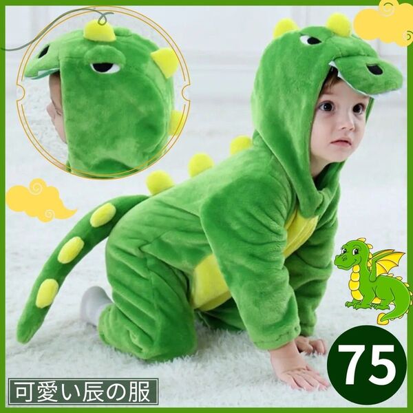 龍 辰 恐竜 ドラゴン 怪獣 衣装 コスプレ こども 幼児 キッズ 75