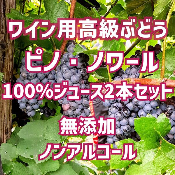 限定セール!ワイン用高級ぶどう「ピノ・ノワール」100%ジュース 2本セット ノンアルコール 無添加 山形産地直送 サンスフル