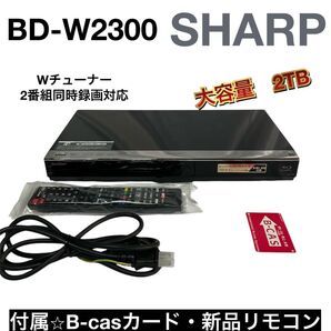BD-W2600
