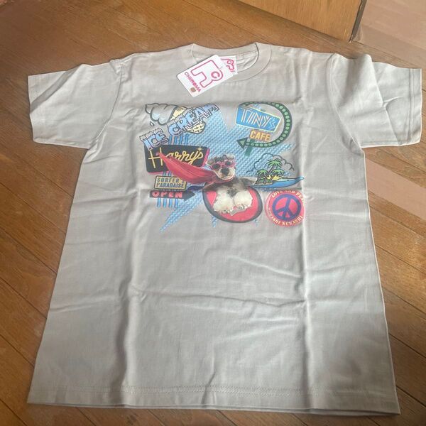 新品未使用 フジテレビ まるものおきて半袖Tシャツ