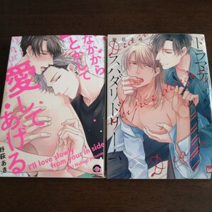 野萩あき 「なかからとけるまで/贅沢なドラマティックハダカレイドリーム 」2冊セット