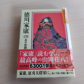 徳川家康 19 山岡荘八