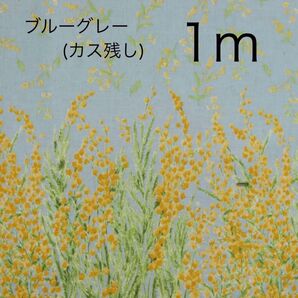 momen-t モーメント ミモザ ブルーグレー スモークブルー ブルー カス残し 1m