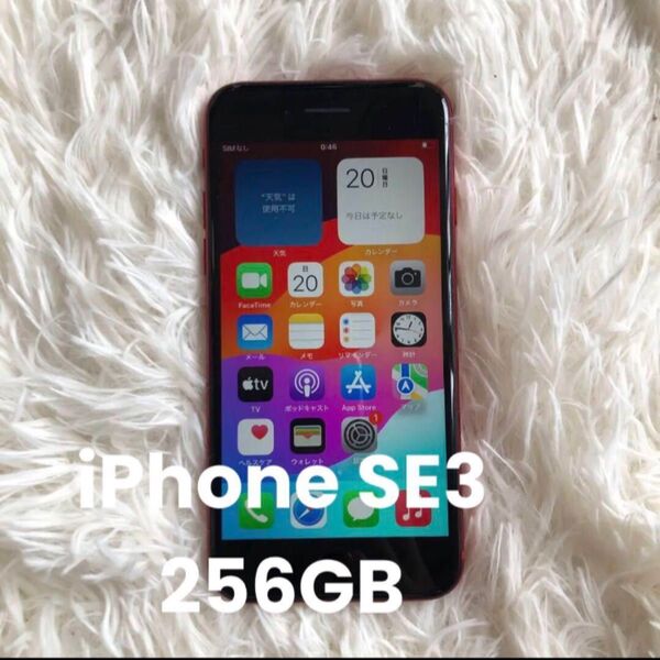 【2日間のみ販売】iPhone SE3 256GB SIMフリー iPhone Apple SE iPhoneSE アップル