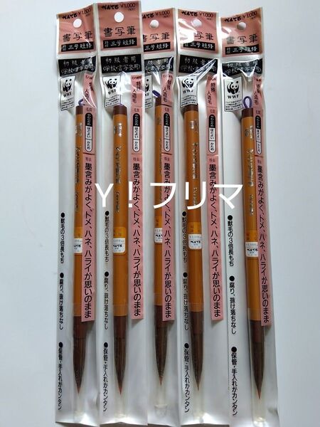 書写筆5本セット やわらかめ ぺんてる