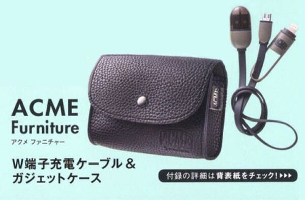 ACME furniture 充電ケーブル&ガジェットケース