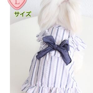 ペット服 Lサイズ 青 ストライプ 肌に優しい素材 上品と可愛いを愉しむ #7/4〜6ペット服売り尽くし