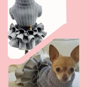 ペット服 グレー M サイズ タートル トリプルフリル 上品と可愛いを愉しむ #7/4〜6ペット服売り尽くし