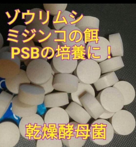 ゾウリムシ、PSBの培養の餌 100粒