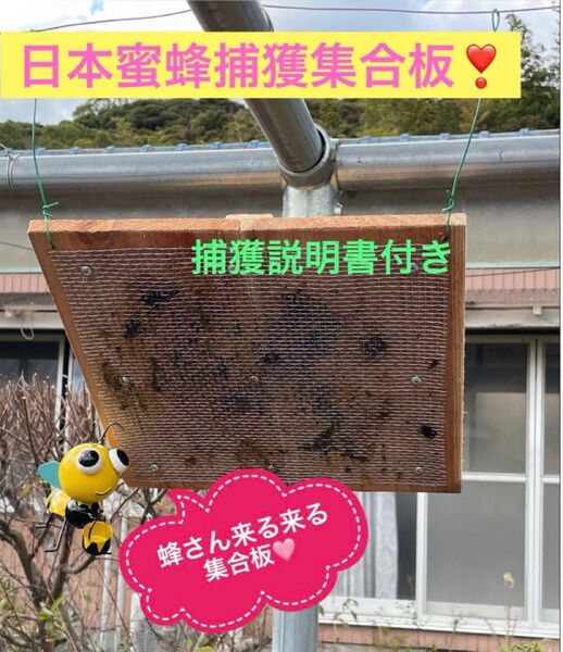 日本蜜蜂を捕獲するのに実績のある集合板です♪約36cm角!