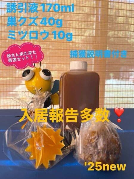 日本蜜蜂を誘引するのに実績のある誘引液のセットです入居報告多数(写真2〜9)♪
