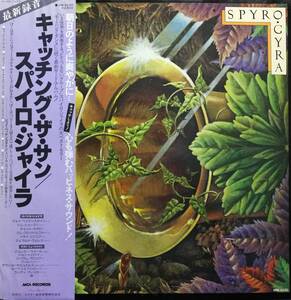 【廃盤LP】Spyro Gyra / Catching The Sun