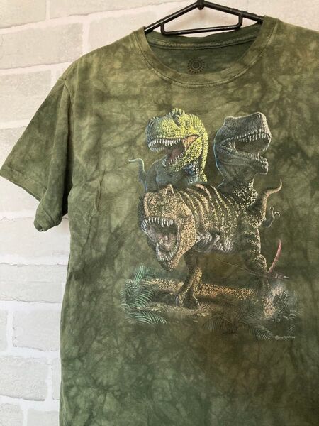 The Mountain 恐竜 Tシャツ グリーン系 YL/S