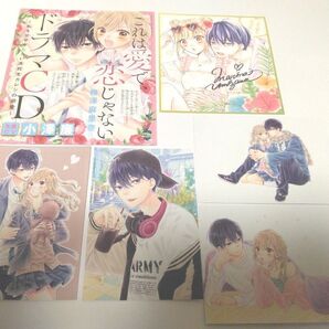 これは愛で、恋じゃない 付録