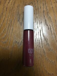 Orbis Talk Lip Gloss 08