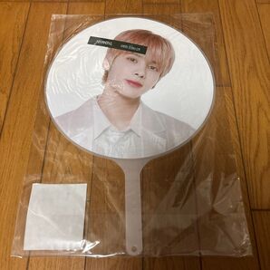 TXT トゥバ sweetmirage ドーム テヒョン うちわ ピケット うちわ