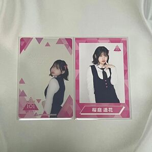 桜庭遥花 日プセット