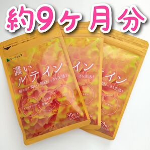 濃いルテイン サプリ 約9ヶ月分 えごま 亜麻仁油