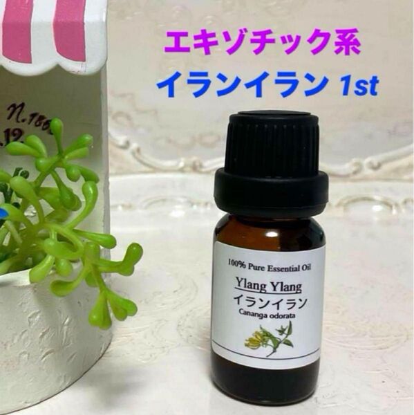 イランイラン 1st 高品質セラピー エッセンシャルオイル アロマオイル