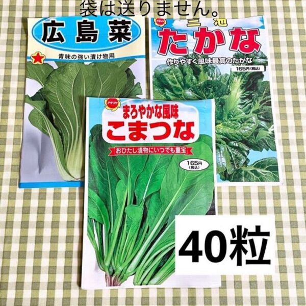 漬け物などに 野菜の種 お裾分け 広島菜・たかな・こまつな 各40粒+α
