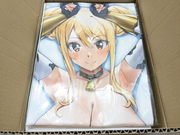 新品未開封 ラッコパーティー FAIRY TAIL ルーシィ・ハートフィリア 抱き枕カバー ライクトロン 正規品