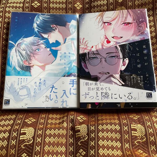 夜明けがいちばん暗い 手を伸ばしたら、つばさ/山田ノノノ2冊