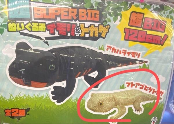 新品未開封 超SUPERBIGぬいぐるみ イモリ&トカゲ フトアゴヒゲトカゲ 爬虫類