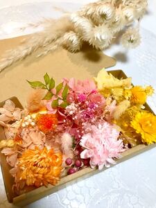 3色ヘリクリサムと千日紅*ハーバリウム花材ドライフラワー 花材詰め合わせセット