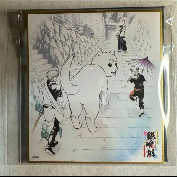 銀魂展 色紙コレクション 万事屋 坂田銀時 神楽 志村新八 定春