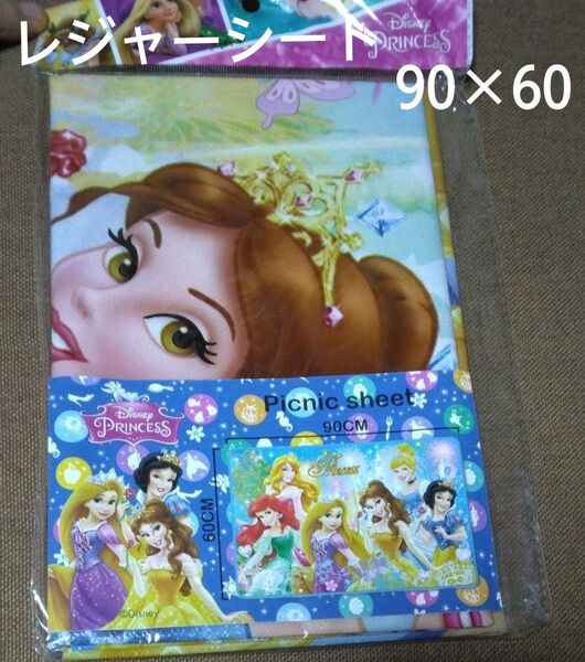 セール ディズニーレジャーシート90 ×60 遠足 プリンセス ミニサイズ