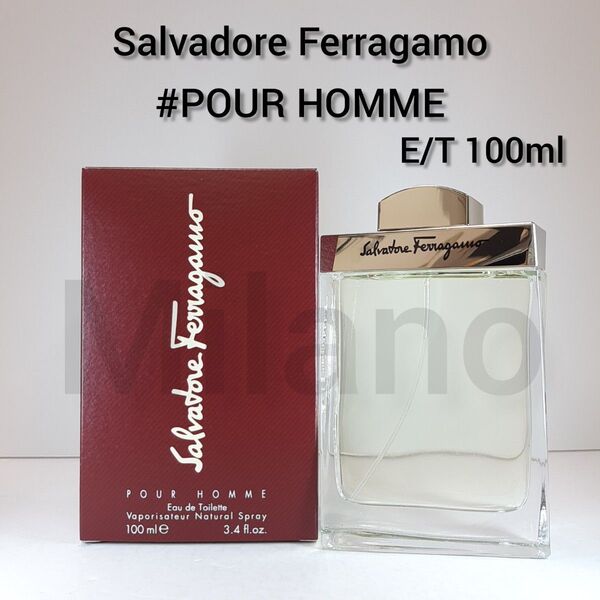 サルヴァトーレフェラガモ プールオム E/T 100ml 香水