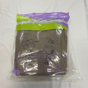 SNOOPY 保冷ができるピクニックBAG BOOK BROWN/ブランドムック 〔ムック〕