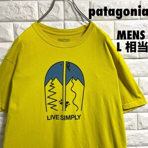 パタゴニア 半袖Tシャツ USA製 魚プリント メンズLサイズ相当