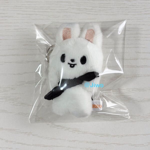 stray kids skzoo リノ Lee Know リービットleebit