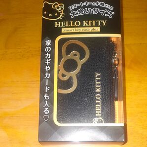 セイワ (SEIWA) ハローキティ B&Gスマートキーケースplus KT532