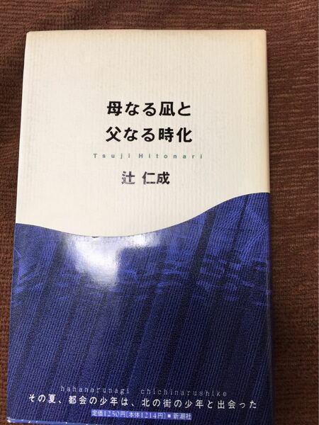 母なる凪と父なる時化／辻仁成