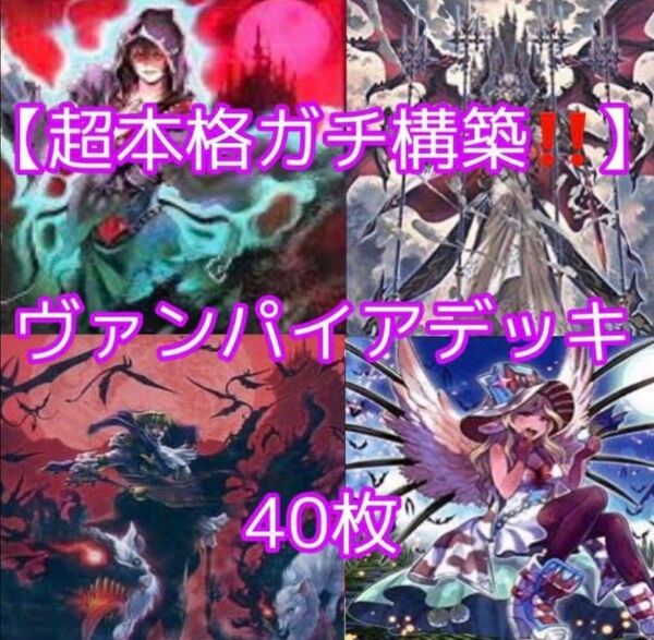 遊戯王【超本格ガチ構築!!】ヴァンパイアデッキ40枚